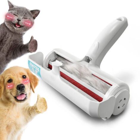 Brosse Anti-Poils Réutilisable Gros Chien Maison
