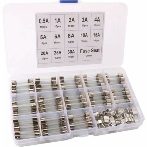 40 Fusibili In Vetro 6x30mm 250V 30A - Tipo Rapido (Fast Blow) Con Binario