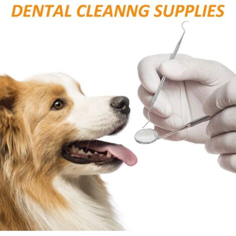 SPRAY PULIZIA DENTI per Cani e Gatti per Rimuovere Macchie Denti e