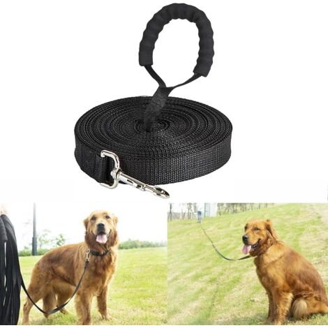 Correas Doble Para Perros Correa Larga Perro 10 Metros Correa De Entrenamiento Para Perros C 1105093