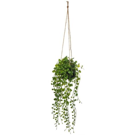 Atmosphera – Fleur artificielle Peperomia suspendue – Hauteur 62 cm – Pot en ciment Ø 10,5 cm – Effet lierre naturel pour décoration intérieure (1/6)