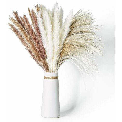 60 Stück 65 cm langes, natürlich getrocknetes Pampasgras in 3 Farben, flauschig und gewellt, böhmische DIY-Pflanze für Blumenarrangements bei Hochzeiten und als Heimdekoration.