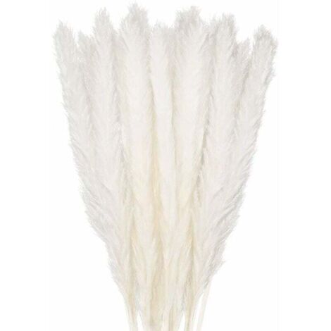 30 pcs Herbe de la Pampa, 58 cm Naturel Pampa Fleur Bouquet de Fleurs Sechees pour Vases, Blanc Boho Decoration Chambre Maison Salon, Mariage Photographier Table Décoration (1/5)