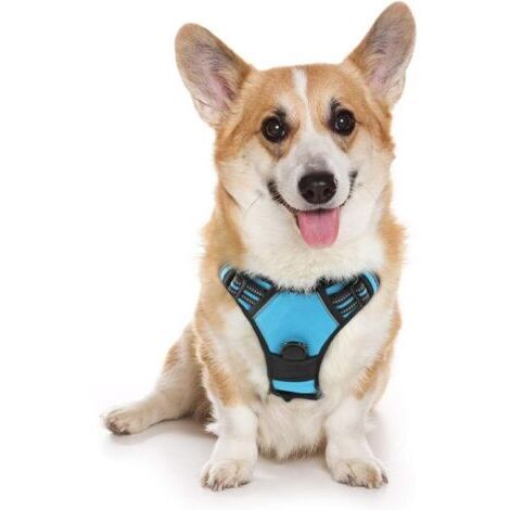 VtiziklHarnais Chien M Arnais Bleu Clair Anti Traction Réfléchissant Gilet Réglable pour Chien, Attache Devant Crochet de Laisse pour Randonné Trajet Voiture, Bouledogue Français, Berger Australien-En