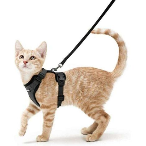 Pettorina per gatti, guinzaglio per cani di piccola taglia, pettorina regolabile per gattini, gilet riflettente traspirante, imbracatura di sicurezza anti-fuga, collare e guinzagli per conigli, gatti 