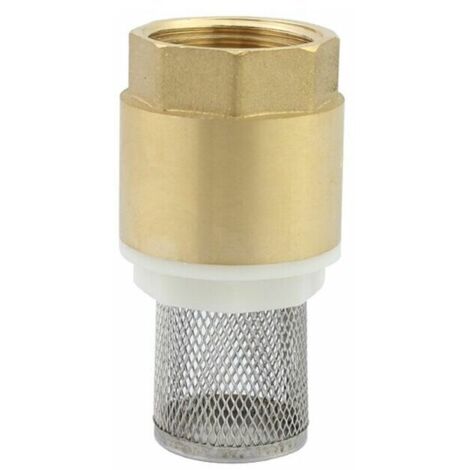 Valvola Di Non Ritorno Con Filtro A Rete In Acciaio Inox Per Tubo Acqua 1 Pollice (25mm) - In Ottone, 16 Bar, Per Irrigazione E Piscina - 5