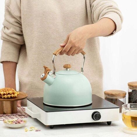 BOLLITORE CON FISCHIO 2.5L IN ACCIAIO INOX LACCATO PER GAS ED INDUZIONE