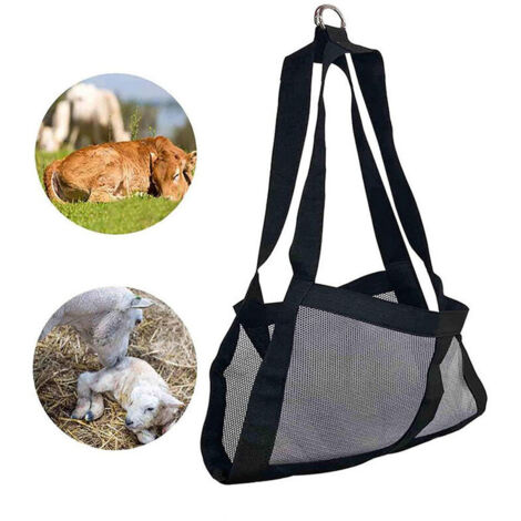 King Carp fishing products | Saint-Clémentin