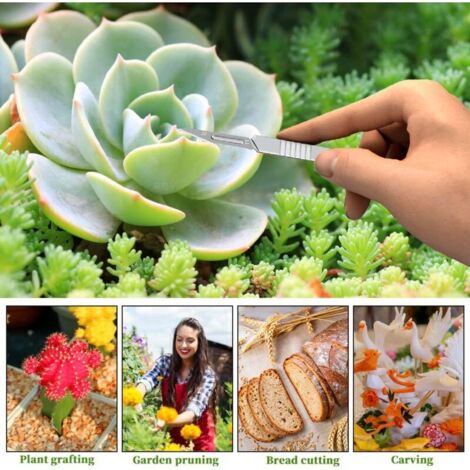 50 m Garden Twistee Tie Wire Wire Twist Tie Wire con dispenser e taglierina per giardinaggio
