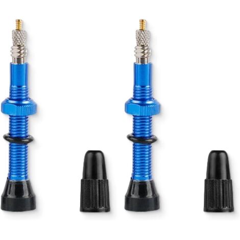 KZQ MTB Tubeless Valve 60 mm, 2 pezzi valvole tubeless da 60 mm, valvole tubeless, stelo valvola MTB, valvole per bicicletta per pneumatici per bicicletta, blu (1/4)