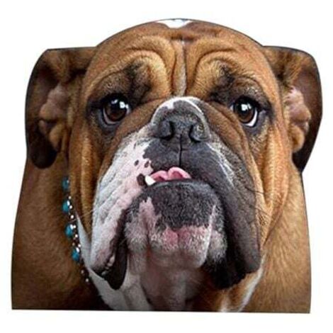 Adesivo in vinile KZQ Bulldog per il lato destro del finestrino dell'auto (1/4)