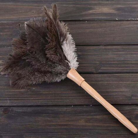 50 Plumes D'autruche Naturelles - Pour Travaux Manuels, Bijoux, Déguisements, Déco Mariage - Tailles Et Couleurs Variées
