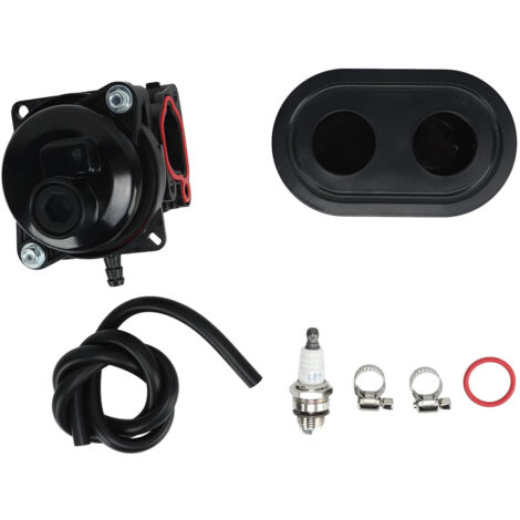 Kit Carburateur Et Filtre À Air Compatible Avec Moteurs Briggs Et Stratton Modèles 550EX Et 725EXI-Vtizikl (1/5)