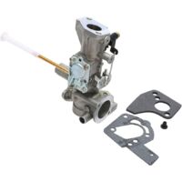 Carburateur pour Briggs & Stratton 498298 495426