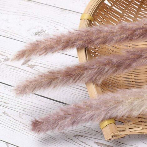 30 pcs Herbe de la Pampa, 45 cm Naturel Pampa Fleur Bouquet de Fleurs ...