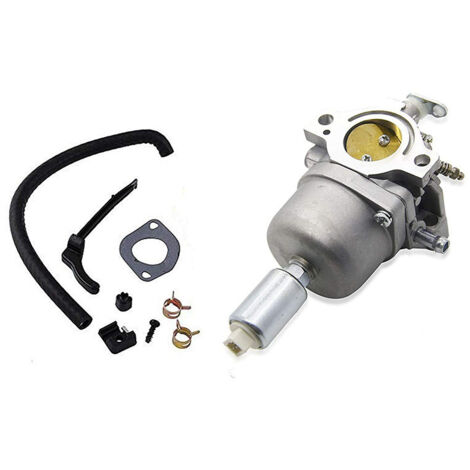Carburatore 794572 compatibile con Briggs & Stratton 791858 791888 792358 793224 (1/5)