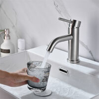 DETBOM Wasserhahn Bad Einhebelmischer Waschbecken Warm und Kaltwasserhähne Badezimmer Waschtischarmatur aus Edelstahl Klassischer Gebürsteter Waschtischhahn