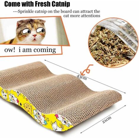 Simpatici Gatti Domestici Simpatici Gatti Con Fiori Decorativi