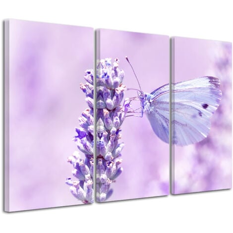 DECLINA, Tableau toile imprimée, animaux, Tableau décoratif papillon bleu, 90x60 cm - 1