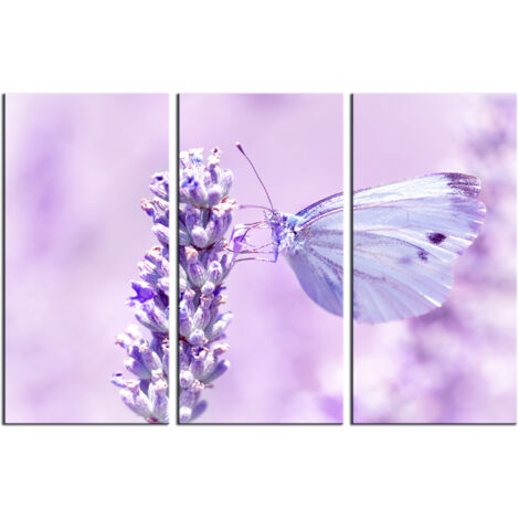 DECLINA, Tableau toile imprimée, animaux, Tableau décoratif papillon bleu, 90x60 cm - 2
