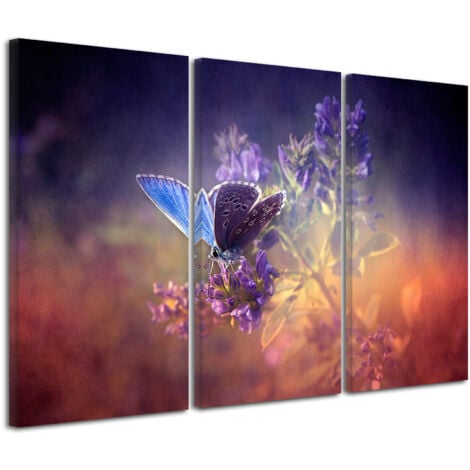 DECLINA, Tableau toile imprimée, animaux, Tableau triptyque Papillons , 90x60 cm - 1