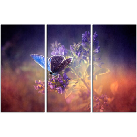 DECLINA, Tableau toile imprimée, animaux, Tableau triptyque Papillons , 90x60 cm - 2