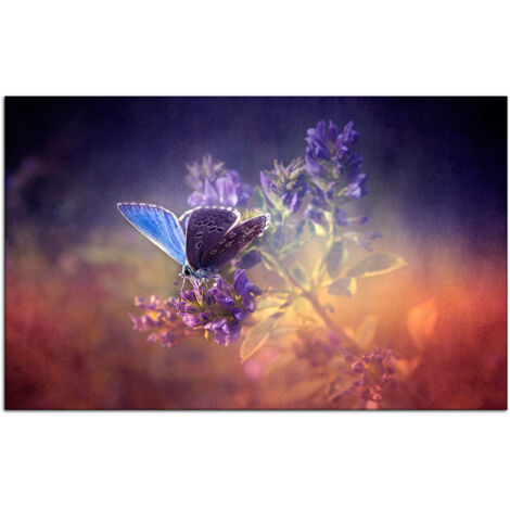 DECLINA, Tableau toile imprimée, animaux, Tableau décoratif Papillons colorés , 50x30 cm - 2