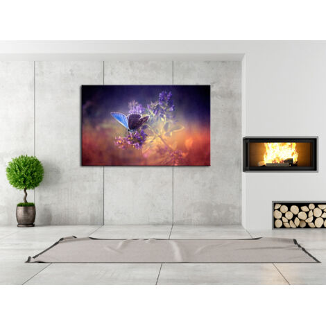 DECLINA, Tableau toile imprimée, animaux, Tableau décoratif Papillons colorés , 50x30 cm - 3