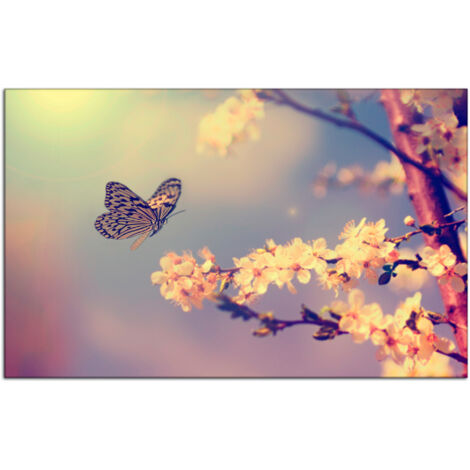 DECLINA, Tableau toile imprimée, animaux, Cadre déco photo Papillons, 50x30 cm - 2