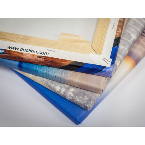 DECLINA, Tableau toile imprimée, animaux, Cadre déco photo Papillons, 50x30 cm - 4