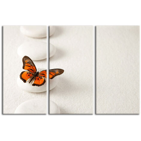 DECLINA, Tableau toile imprimée Zen, Tableau imprimé Jardin Zen & Papillon, 90x60 cm - 2