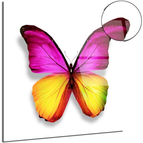 Cadre plexiglas deco moderne Papillon - 1