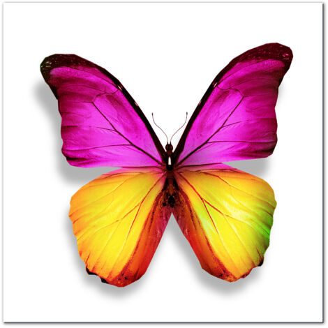 Cadre plexiglas deco moderne Papillon - 2