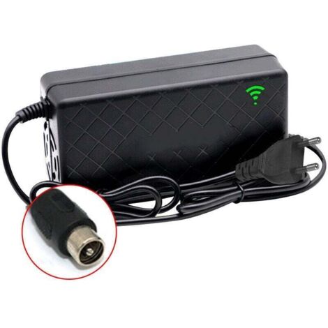 24 V 2 A Elektrofahrrad Smart Lithium Batterie Ladegerät Ausgang 29,4 V 2 A Ladegerät DC Port Schnellladegerät mit Lüfter, Cinch-Stecker, DEBUNS (1/5)
