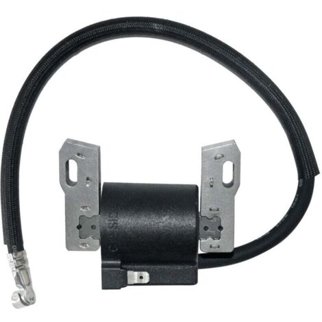 Zündspule für Briggs Stratton 591420 398593 496914 793281 792395 -..DEBUNS