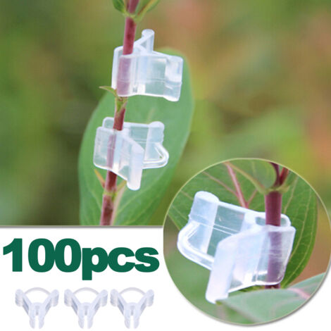 100 Clip Per Orchidee E Piante Rampicanti, Verdi, Riutilizzabili, Sostegno Per Steli - 4