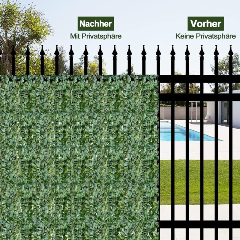 welcher topf für elefantenfuß Elefantenfuss | Beaucarnea recurvata main image 0