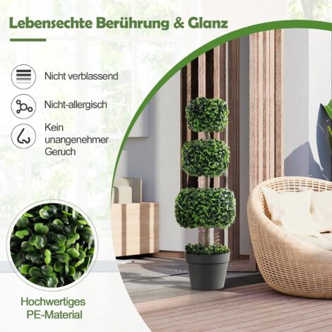 weihnachtsstern weihnachtsstern steige heut empor Euphorbia pulcherrima christmas feelings (rot) (Weihnachtsstern) kaufen? |  Stella main image 0