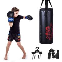 COSTWAY 10KG Boxsack-Set mit 8oz Boxhandschuhen und Springseil, Punchingsack, Punching Bag, Boxing inkl. Deckenhaken zur Montage