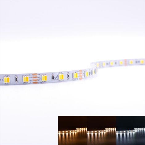 Strip 12V 5M 14,4W/m 60LED/m 10mm - Lichtfarbe: CCT 2700-6500K - Schutzart: IP20 (1/5)