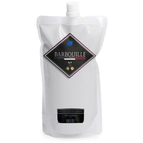 Sous Couche acrylique plâtre, béton, bois 0,75L Blanc Perfection