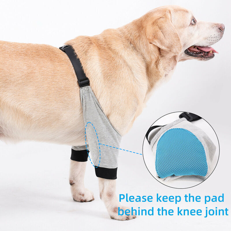 Protège-coude Pour Chien - Manchon Récupération Patte Avant - Taille XXL Pour Chiens Moyens Et Grands