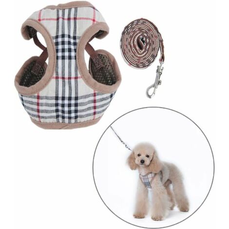 xs Petit Chien Harnais et Laisses (1/5)