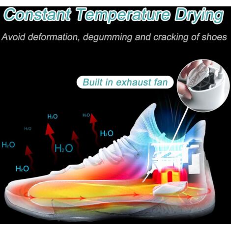 Sèche-chaussures Portable - Minuterie Intelligente (1/3/6h) - Design Pliable - Pour Baskets, Bottes, Gants - Désodorisant Intégré