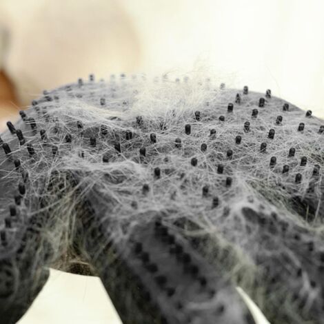 Lot De 2 Gants Électrostatiques Pour Épilation Chien/Chat - Réutilisables, Lavables - Enlève Poils Sur Canapé, Tapis, Vêtements - Matériau EVA Doux - 11