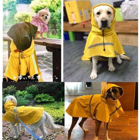 Manteau Noir Souple Imperméable Pour Chien Avec Manches 2 Pattes