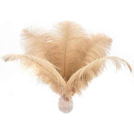 Ahlsen 24 pièces de plumes autruche blanches naturelles de 25 à 30 cm (10 à 12 pouces) pour les centres de table de mariage, la composition florale et la décoration de la maison. (1/5)