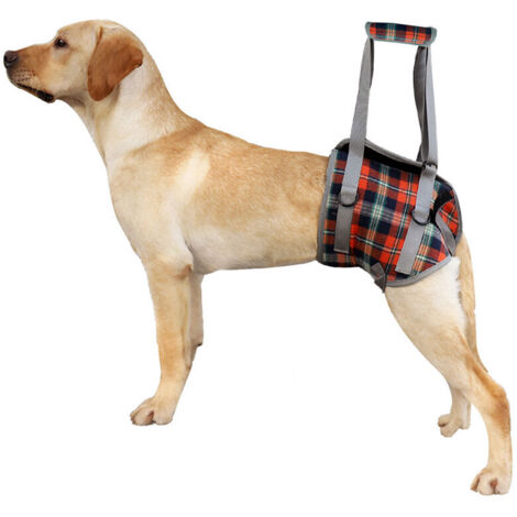 Ahlsen – Harnais de soutien réglable pour chien handicapé – Maille respirante – Poignée de levage pour chiens âgés et blessés – Taille S (1/5)
