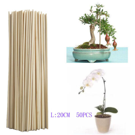 Ahlsen Barre de bambou barre de support de croissance des plantes petit bonsaï branche de vigne DIY outil de jardinage 3mm 20cm 50pcs (1/4)