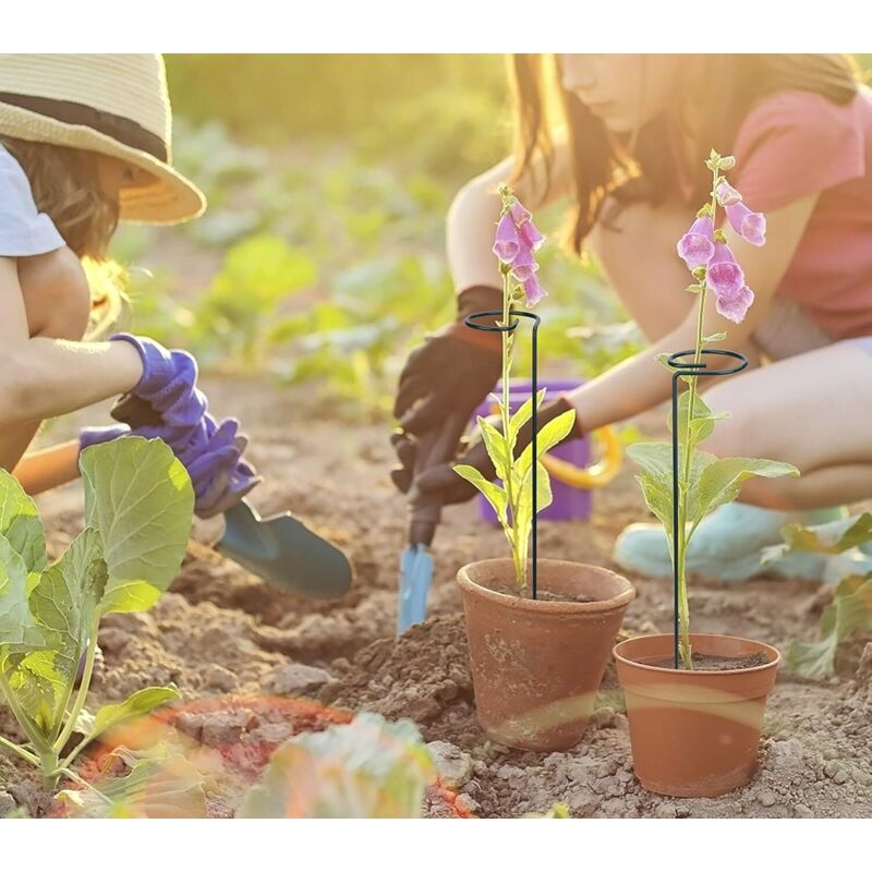 Lot De 8 Tuteurs Plantes Toypopor 25x40cm - Métal Vert Antirouille | Support Pour Hortensias, Roses, Tomates